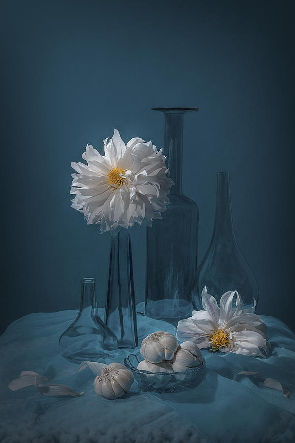 Flower Photograph - Garlic And Dahlia by Lydia Jacobs