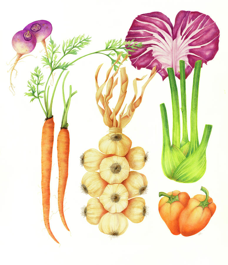 Vegetable Painting - Garlic And Friends Market Poster by Deborah Kopka