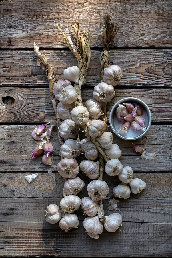Garlic Braids On A Wooden Garden Counter Photograph by Magdalena & Krzysztof Duklas