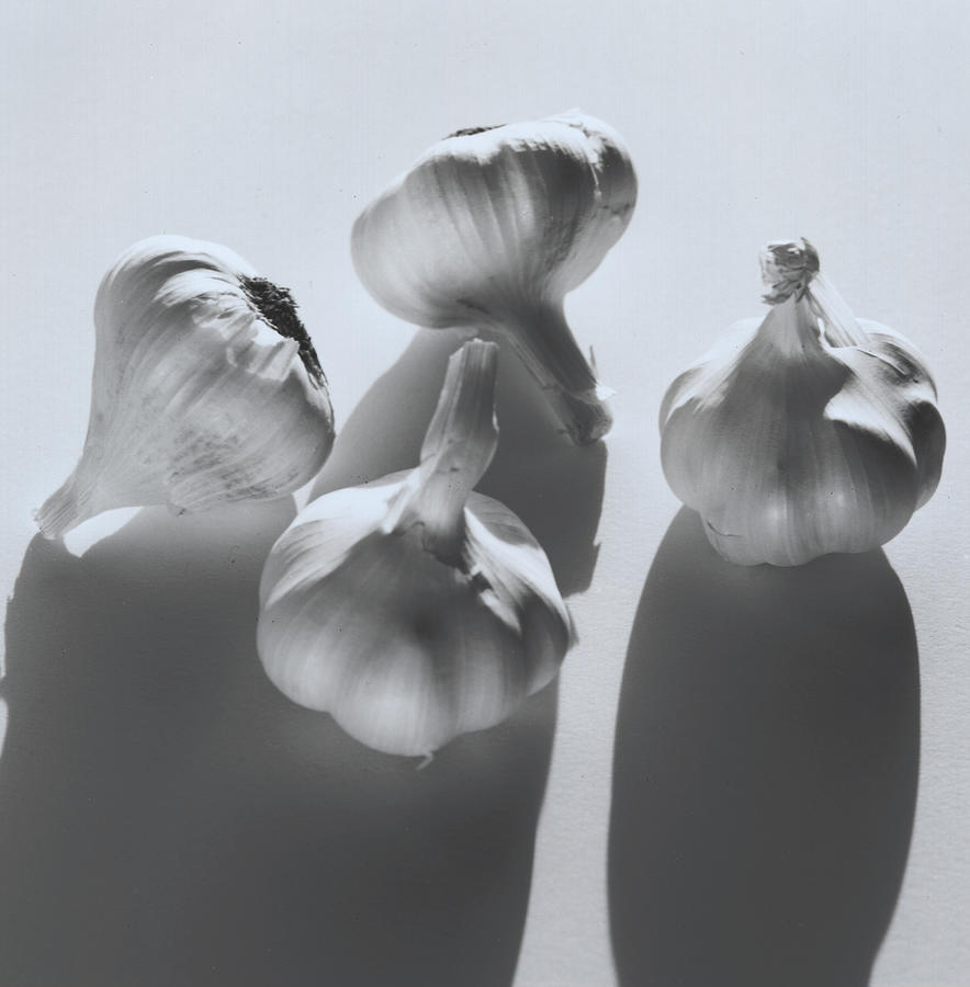 Garlic Bulbs Photograph by Henri Silberman