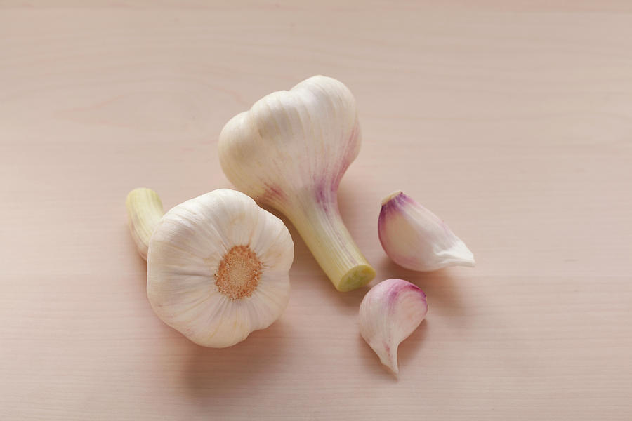 Garlic Photograph by Eising Studio