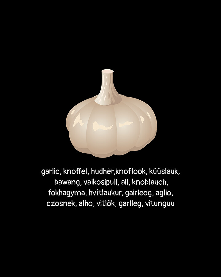 Garlic In Different Languages Digital Art by DogBoo Fine Art America