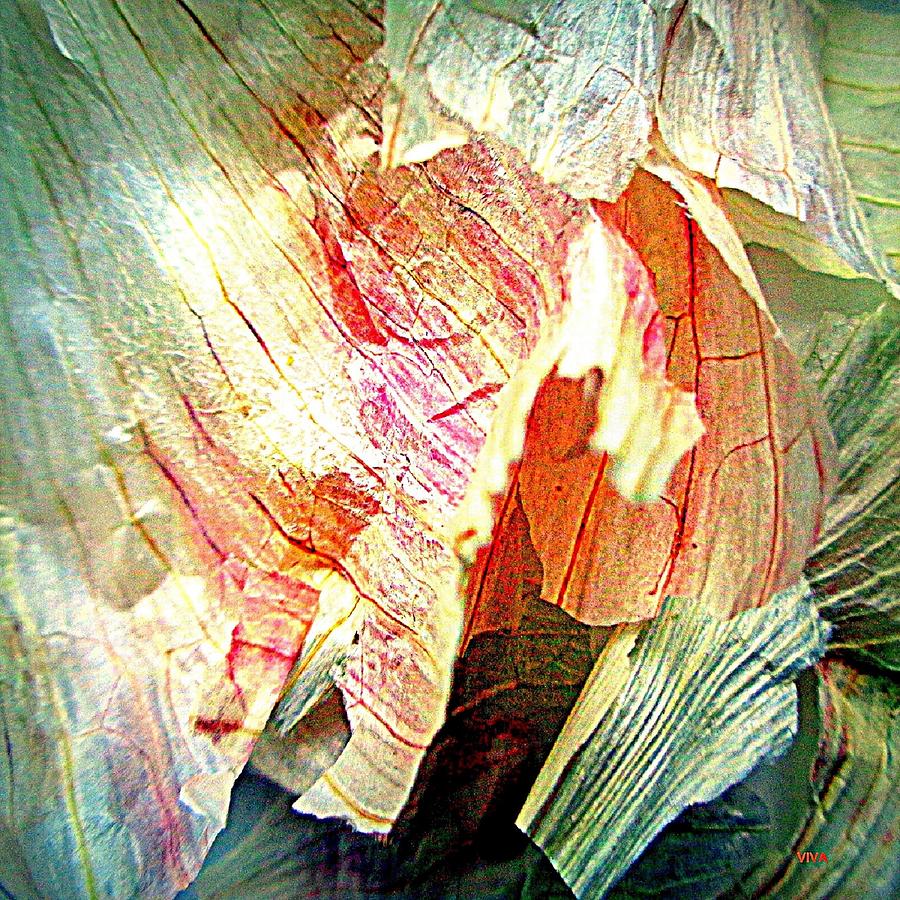 Garlic Peel Celebrated by VIVA Anderson Garlic Peel Celebrated by VIVA Anderson