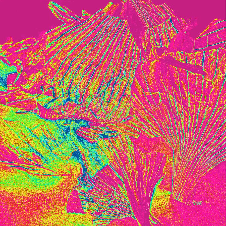 Garlic Peel Digital Colors Photograph by VIVA Anderson