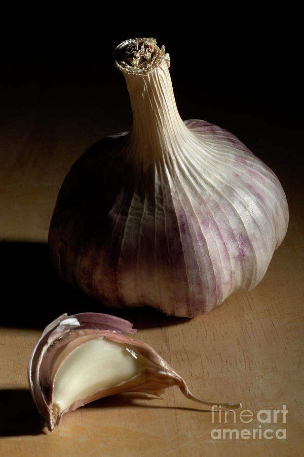 Garlic Photograph by Rowland Roques Oneil/science Photo Library