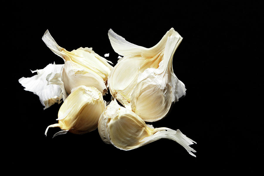 Garlic Photograph by Yuji Kotani