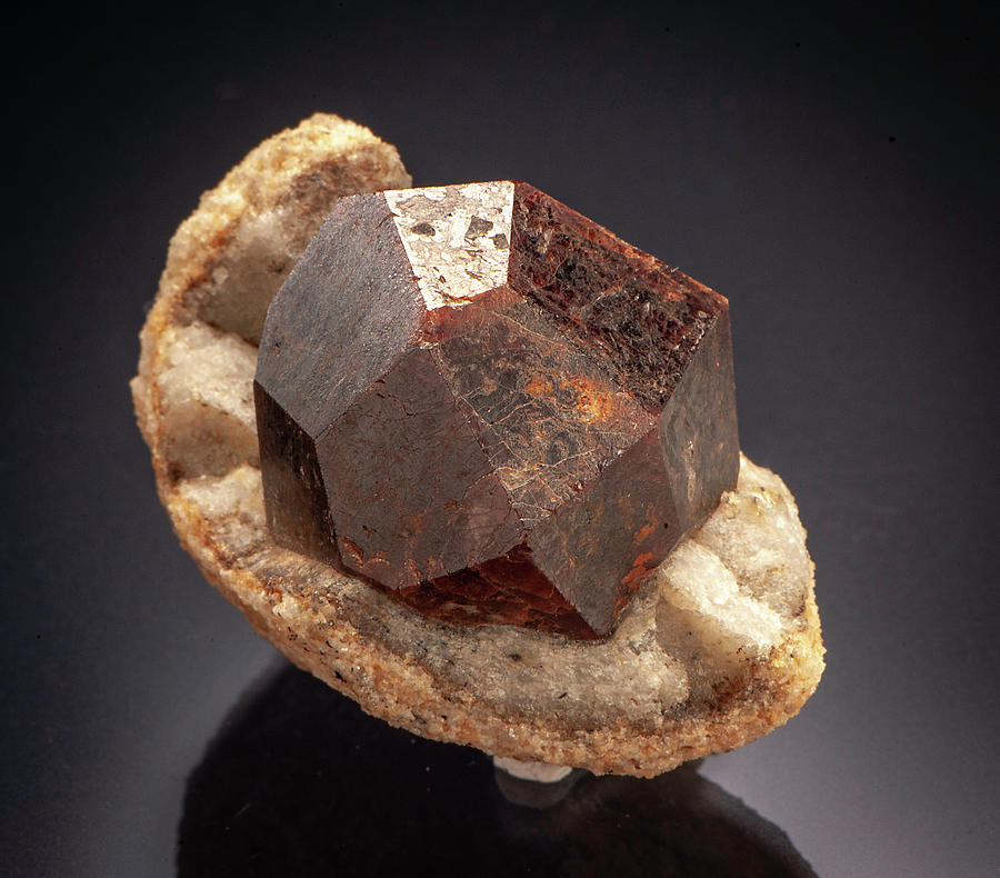 Garnet Photograph by Charles Winters