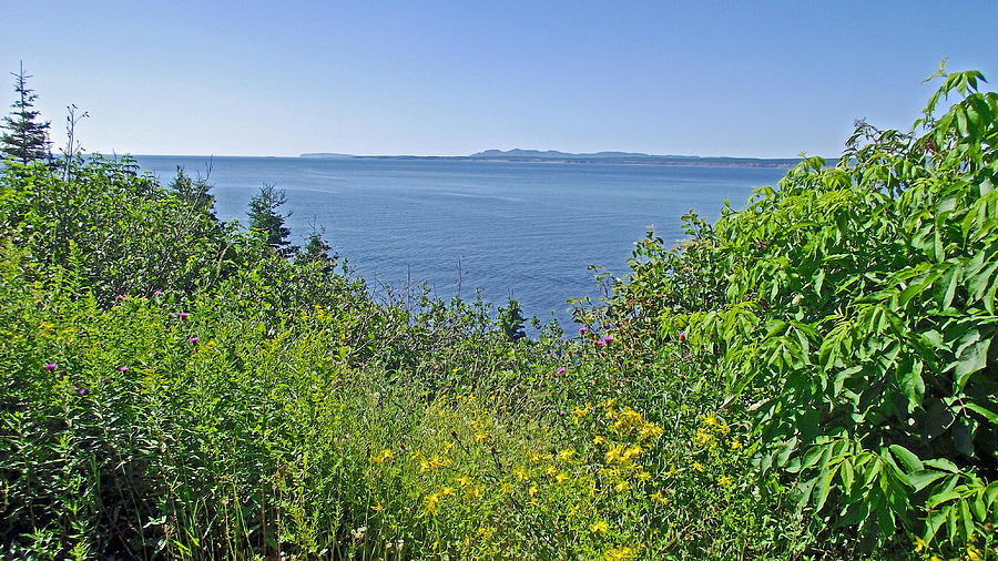 Gaspe Bay along Trail to Cap Gaspe in Forillon National Park, Quebec, Canada  Photograph by Ruth Hager