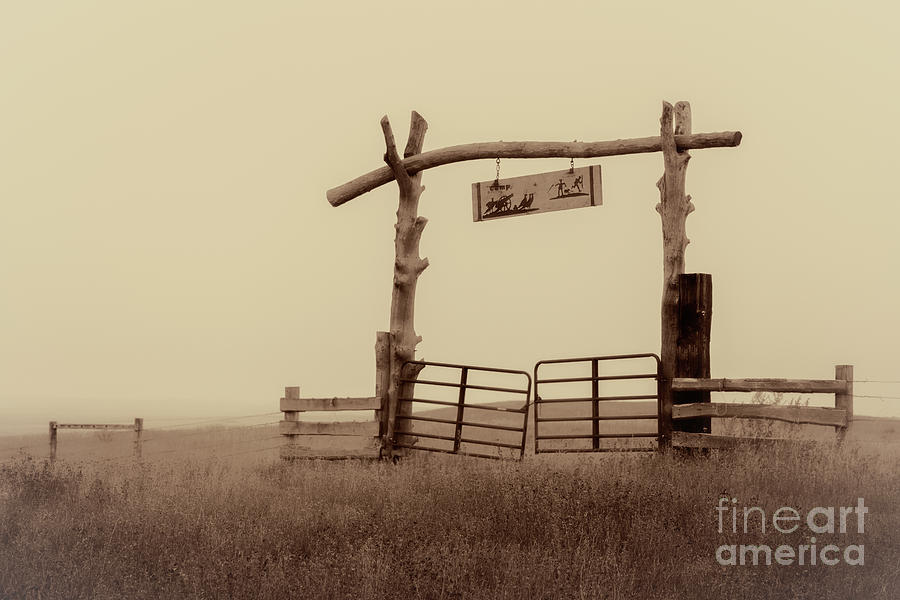 Gate In The Wilderness Photograph by Harriet Feagin