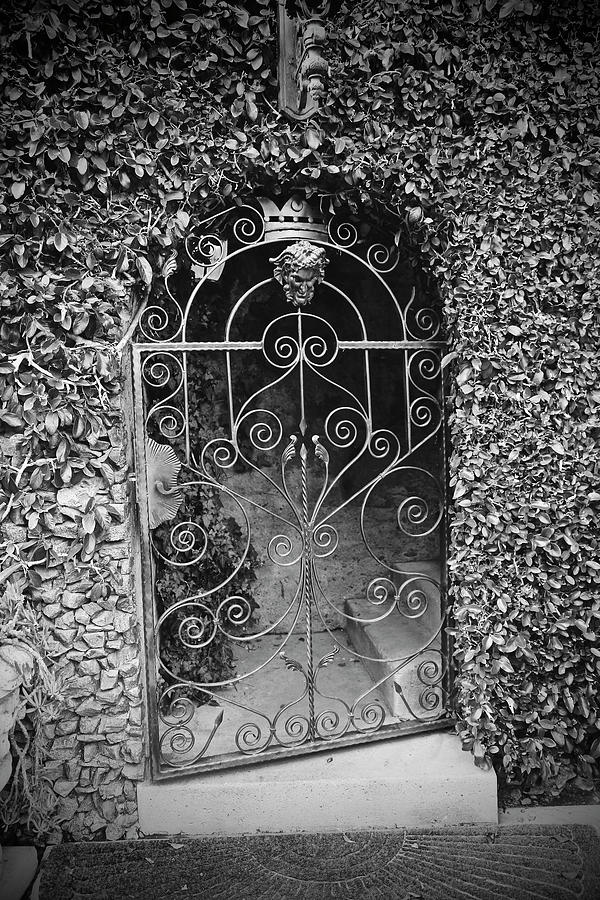 Black And White Photograph - Gate With Ivy by Susan Vizvary Photography