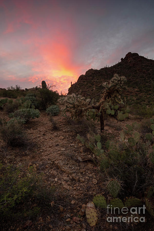 Saguaro National Park Photograph - Gates Pass Sunset by Michael Dawson