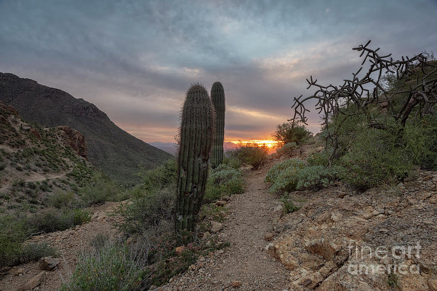 Gates Pass Sunset Trail by Mike Dawson Gates Pass Sunset Trail by Mike Dawson