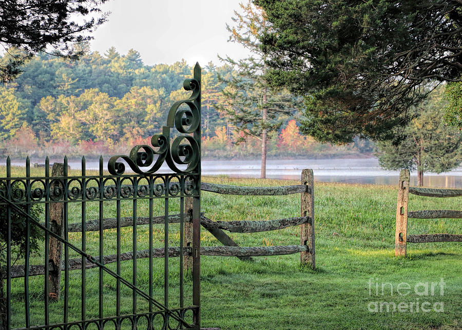 Gateway to autumn Photograph by Janice Drew