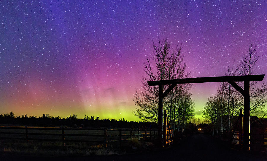 Gateway to the Aurora Photograph by Cat Connor