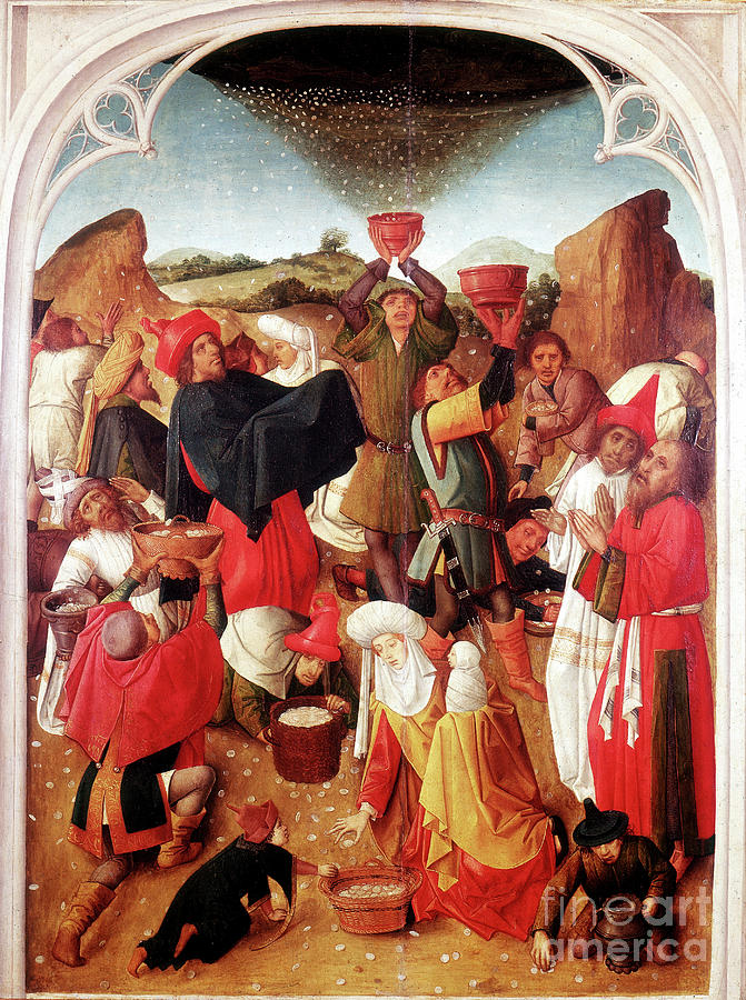 Gathering Of The Manna, C1460-1475 Drawing by Print Collector