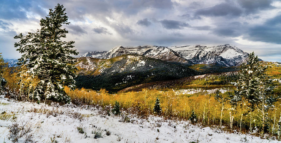 Gathering Storm by TL Mair Gathering Storm by TL Mair