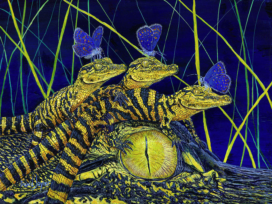 Gator Nursery by David Joyner Gator Nursery by David Joyner
