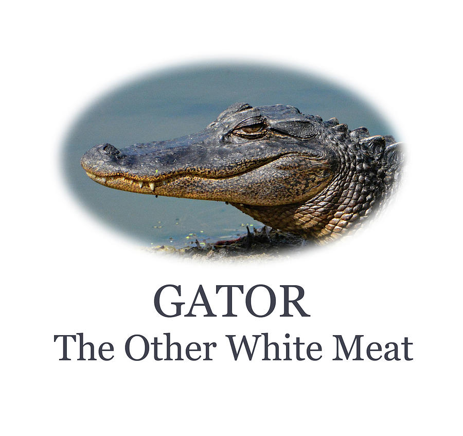 Gator, The Other White Meat Photograph by Jerry Griffin