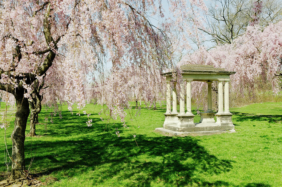 Gazebo In Blooming Sakura Alley - Photograph by Travelif - Fine Art America