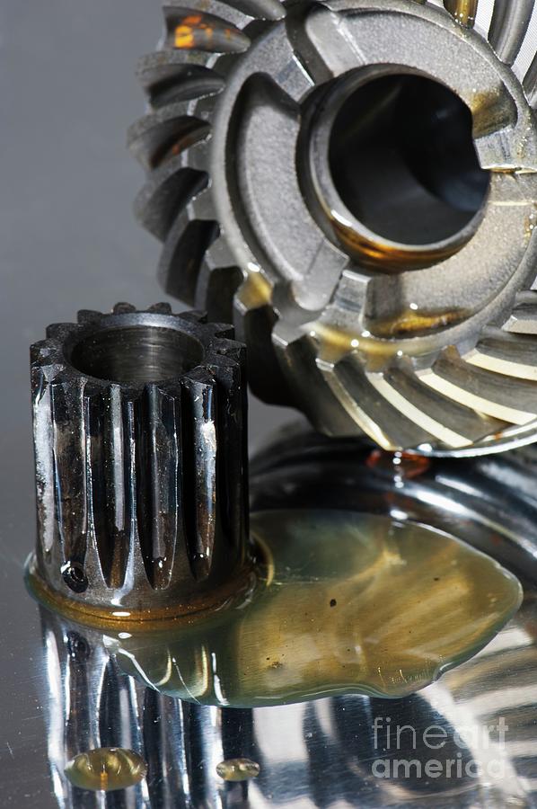 Gears With Machine Lubricant Photograph by Christian Lagerek/science Photo Library