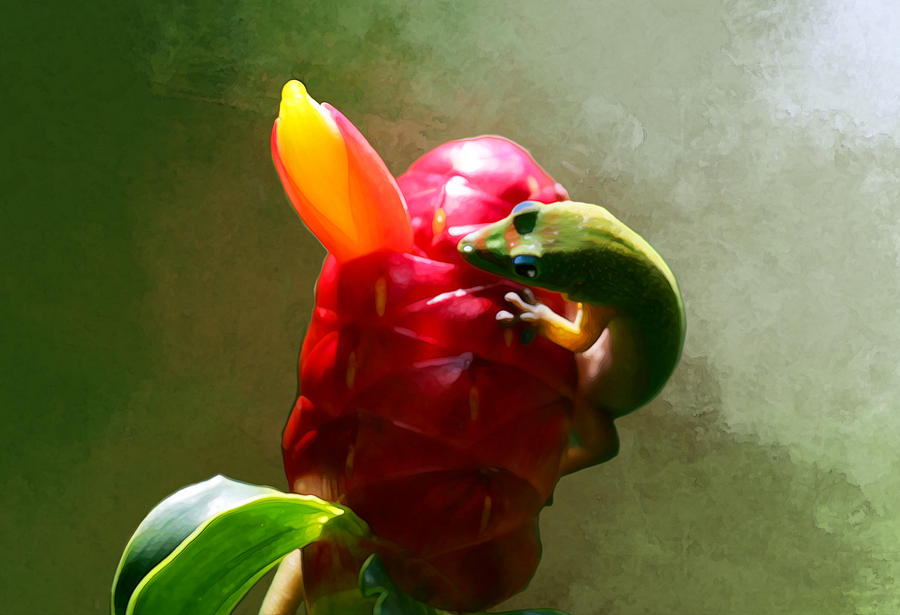 Gecko on Ginger - Paintography by Anthony Jones Gecko on Ginger - Paintography by Anthony Jones