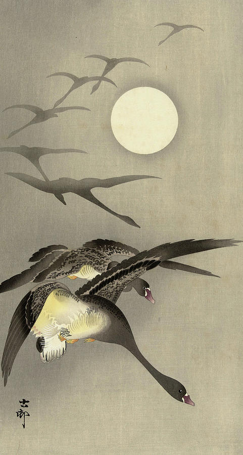 Geese at full moon, 1945 Painting by Ohara Koson - Fine Art America