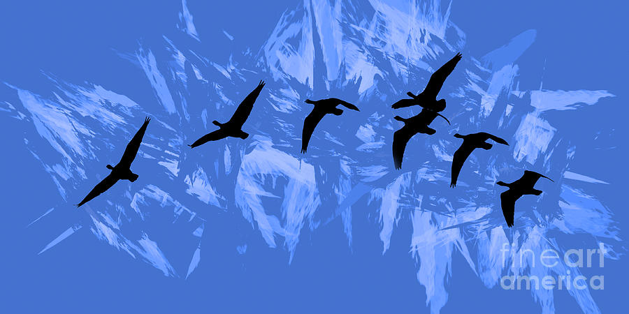 Geese Flying Over Mountains Abstract Photograph by Scott Cameron