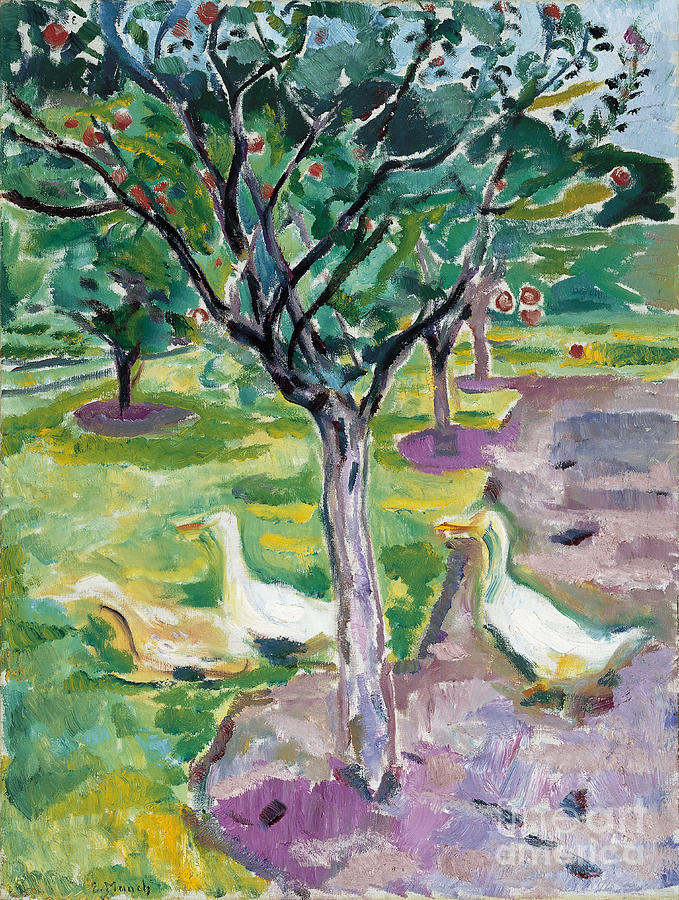 Geese In An Orchard Drawing by Heritage Images