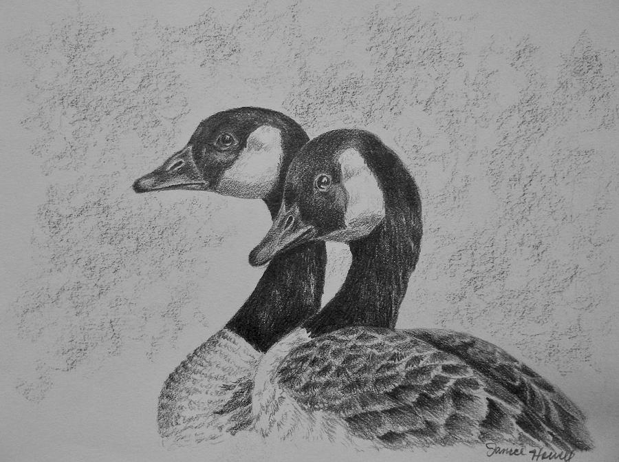 Geese Drawing by Janice Howell - Fine Art America