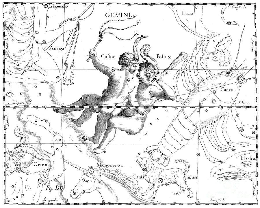 Gemini engraving from a celestial atlas  Drawing by Johann Hevelius