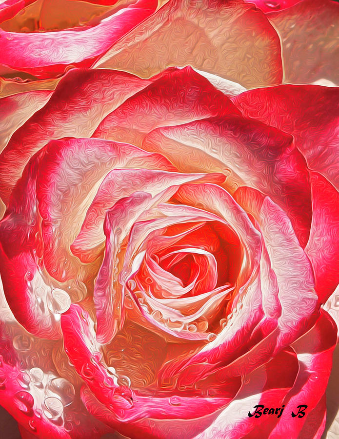 Gemini - Tea Rose Photograph by Bearj B Photo Art