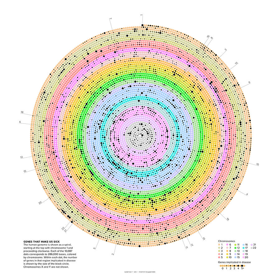 Genes that make us sick Digital Art by Martin Krzywinski - Fine Art America