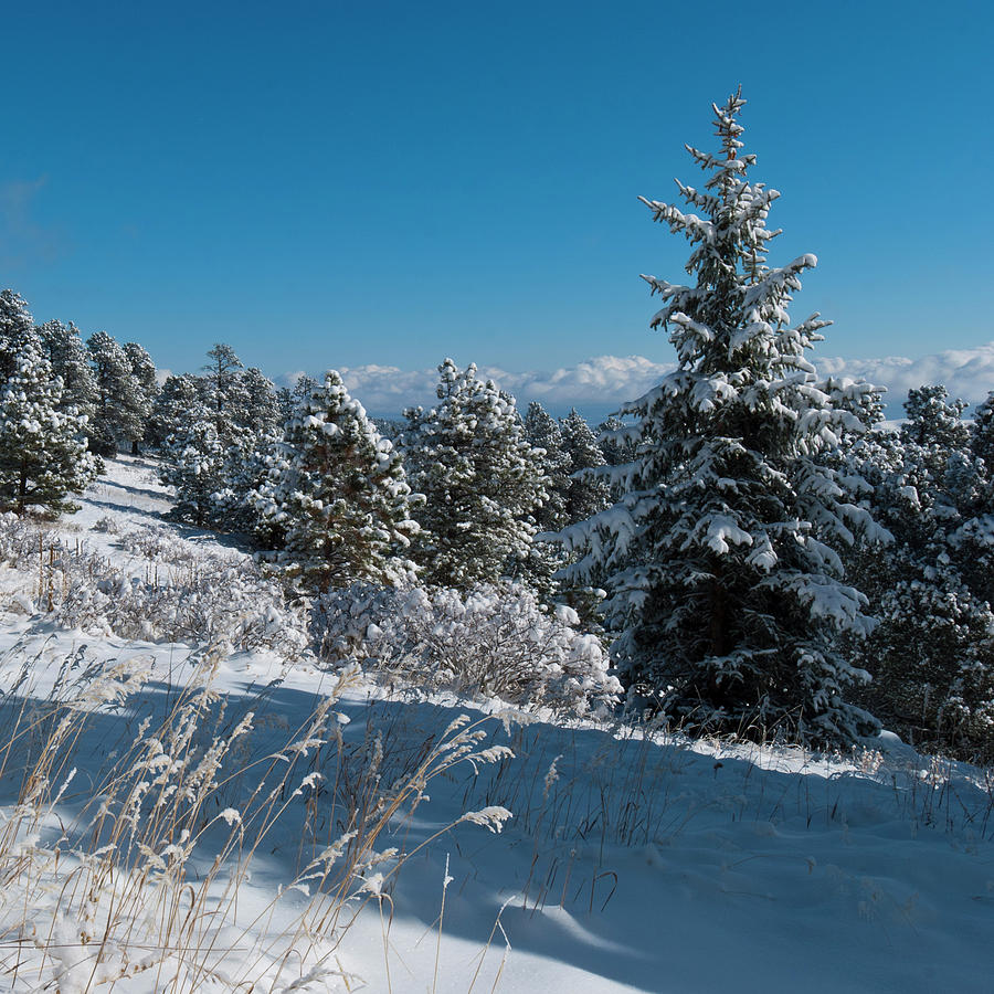 Genesee Mountain Winter Landscape Photograph by Cascade Colors