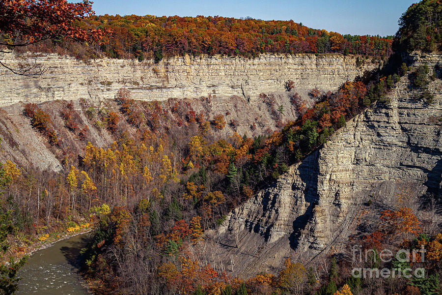 Genesee River Gorge Photograph by William Norton