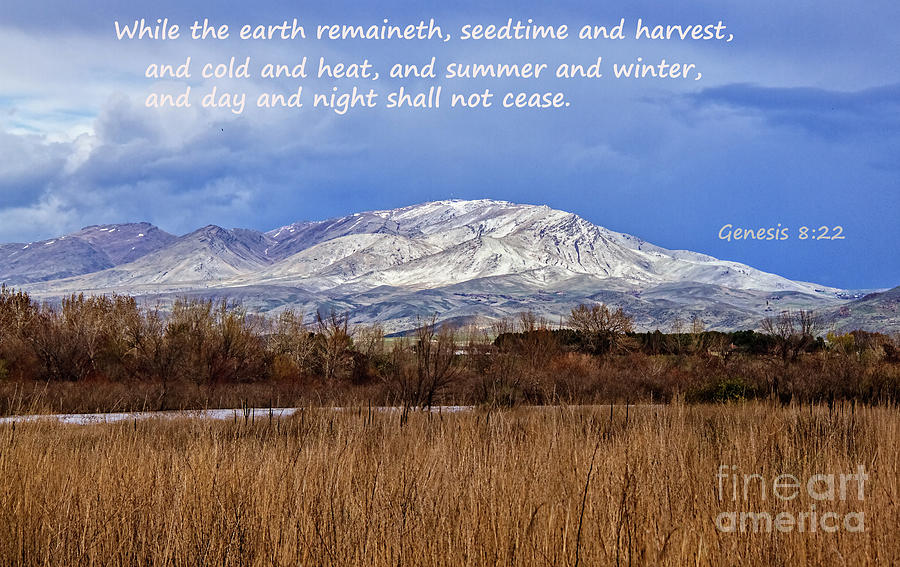 Genesis 8 Verse 22 Photograph by Robert Bales - Pixels