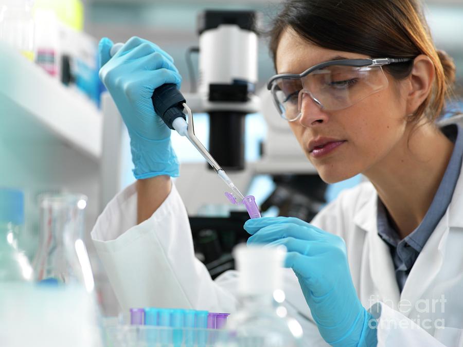 Analytical Chemistry Photograph - Genetic Testing by Tek Image/science Photo Library Analytical Chemistry Photograph - Genetic Testing by Tek Image/science Photo Library