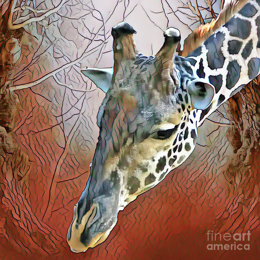 Giraffe Digital Art - Gentle Giraffe by Jackie MacNair