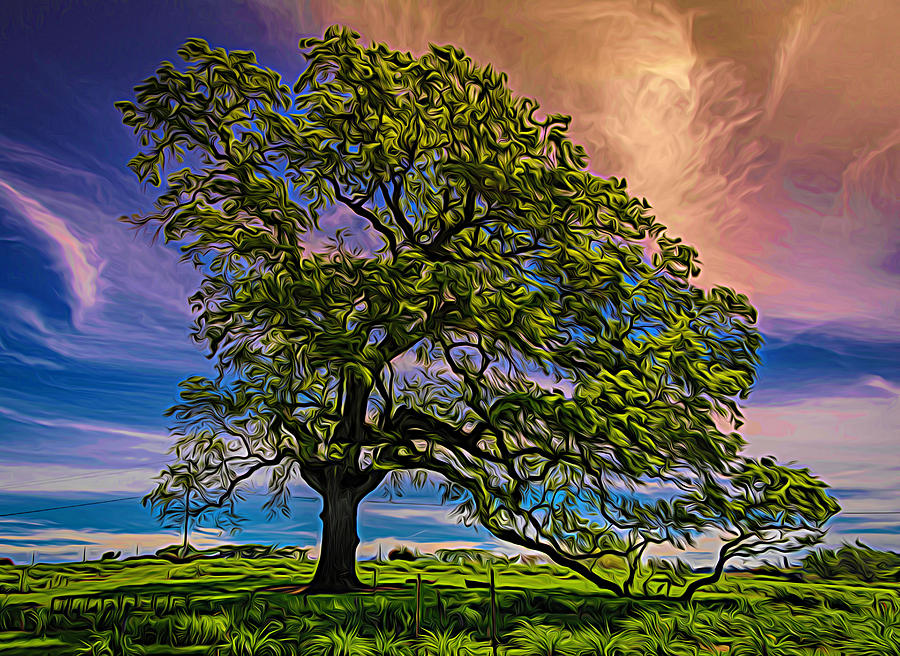 Gentle Tree of Life Photograph by Steph Gabler