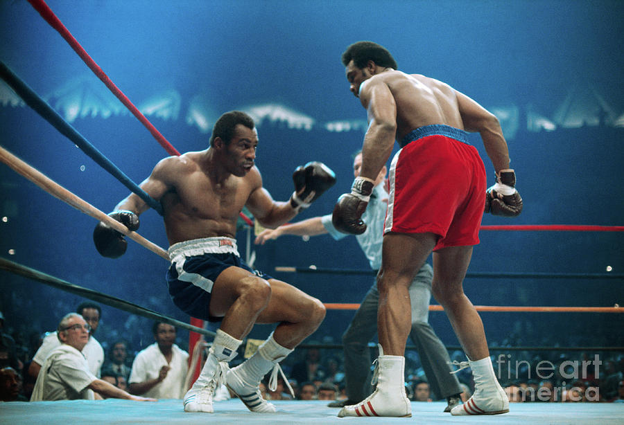 George Foreman And Ken Norton Boxing Photograph by Bettmann