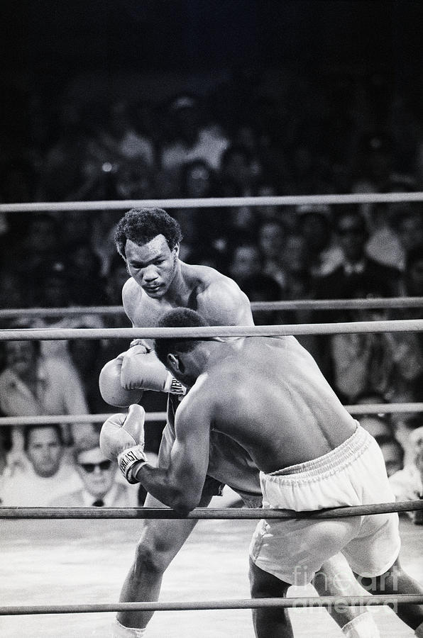 George Foreman Punching Joe Frazier Photograph by Bettmann