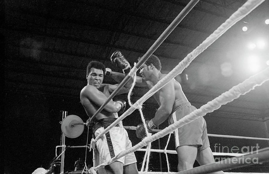George Foreman Punching Muhammad Ali Photograph by Bettmann