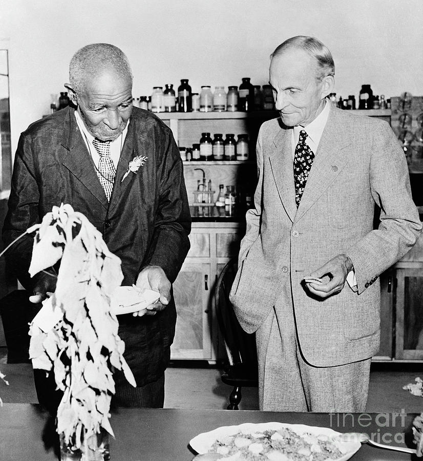 George Washington Carver And Henry Ford Photograph by Bettmann