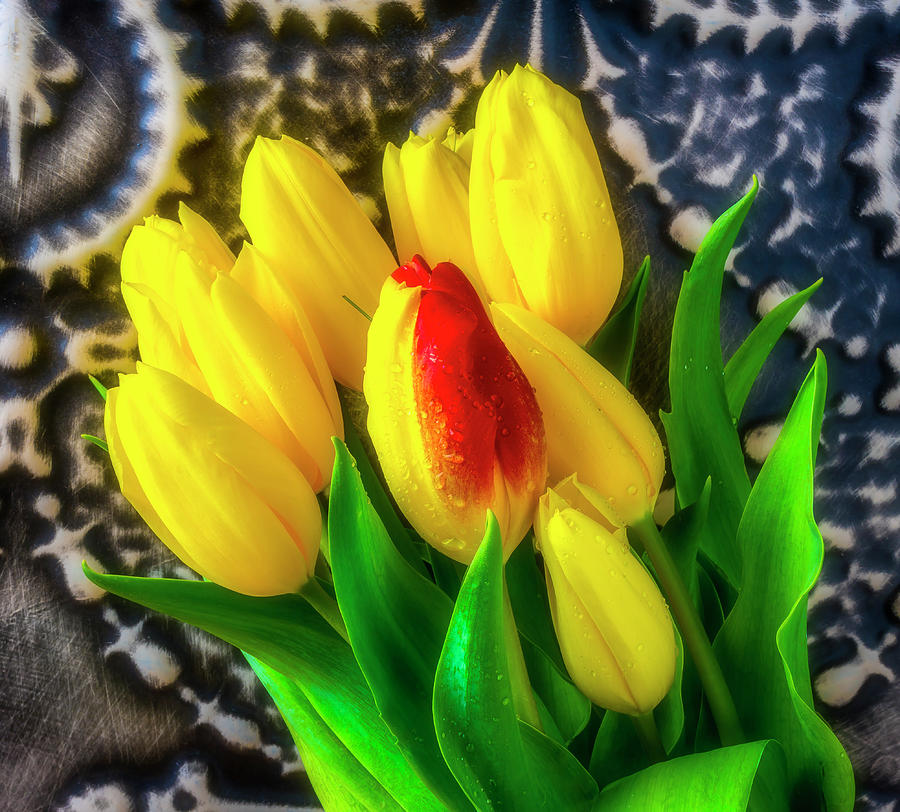 Georgeous Red Yellow Tulip In Bouquet Photograph By Garry Gay Fine