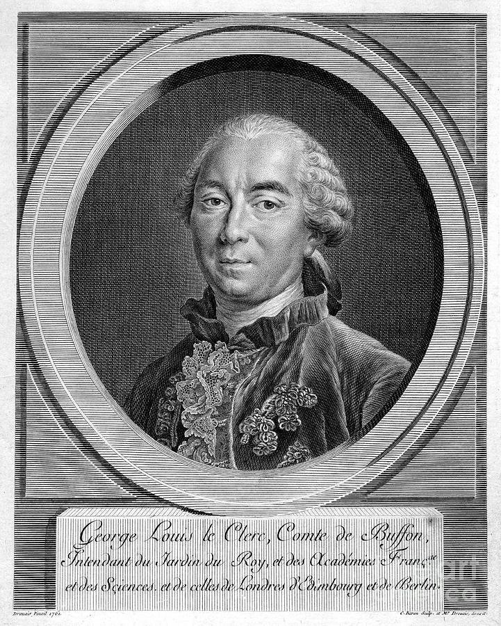 Georges-louis Leclerc, Comte Du Buffon Drawing by Print Collector
