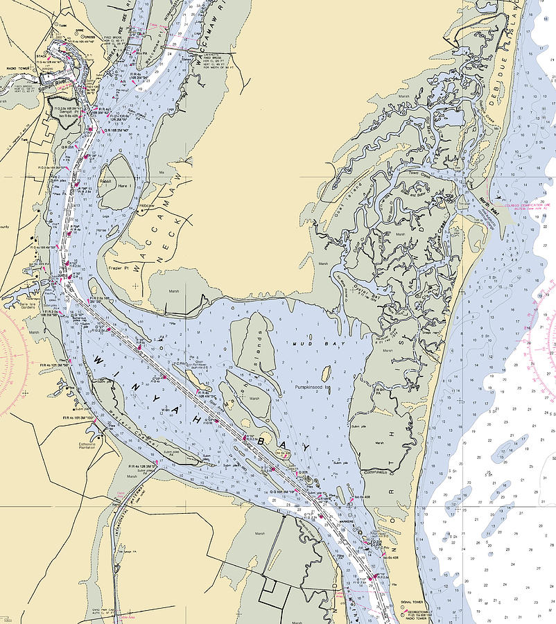 Carolina Nautical Chart Mixed Media by Sea Koast Pixels