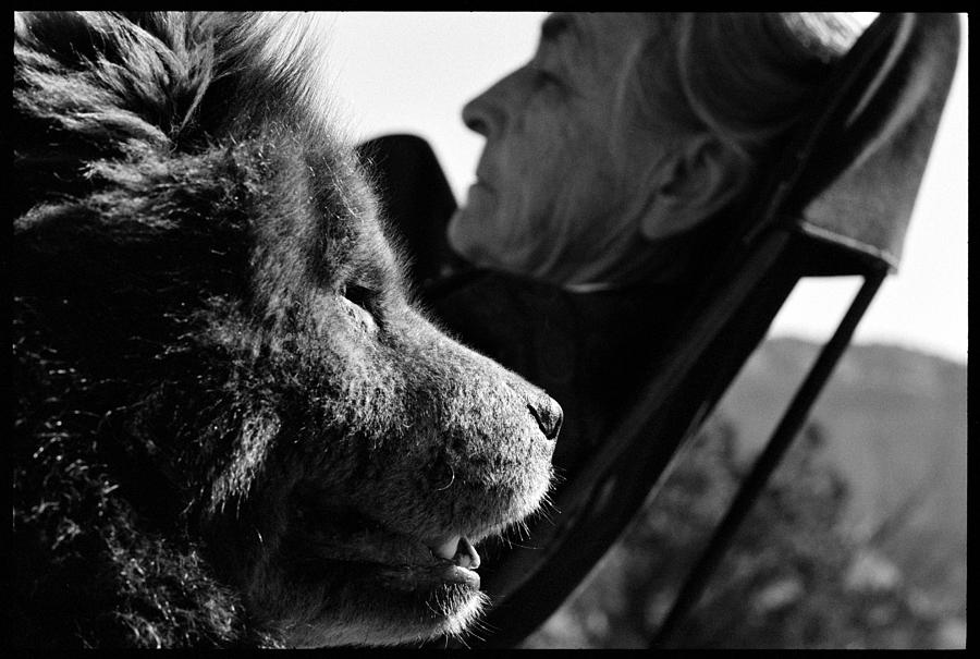 Georgia OKeeffe & Dog Photograph by John Loengard
