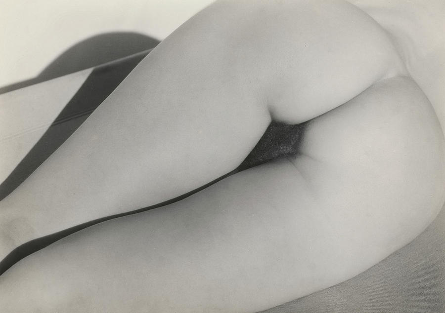 Nude Painting - Georgia OKeeffe, Torso No,11 by Alfred Stieglitz