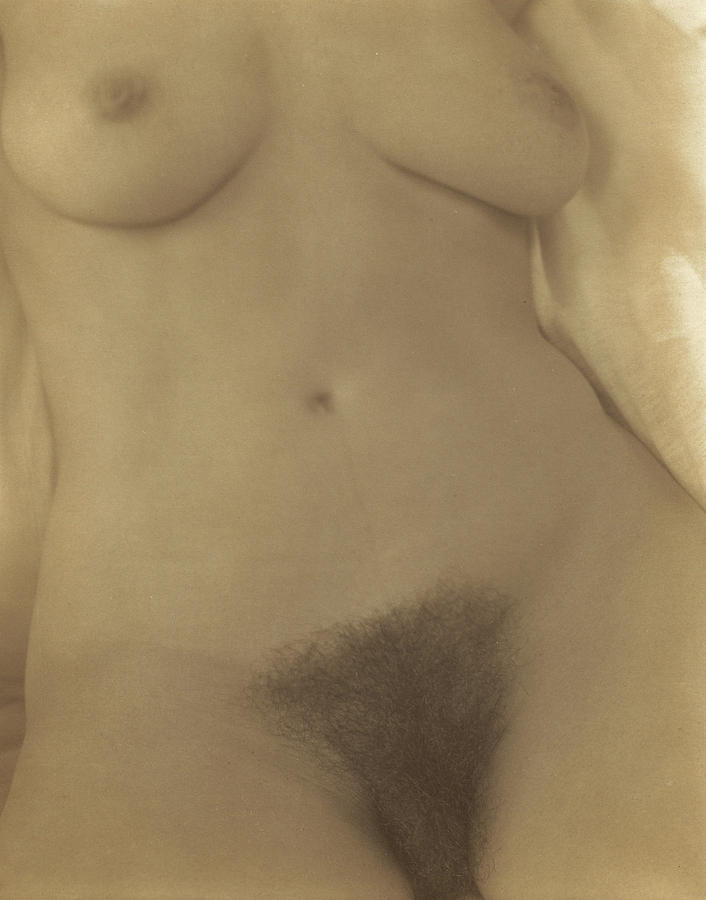 Nude Painting - Georgia OKeeffe, Torso No.8 by Alfred Stieglitz