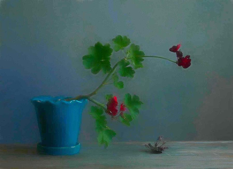 Still Life Photograph - Geranium 12 by Fangping Zhou