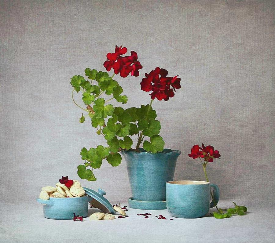 Still Life Photograph - Geranium 15 by Fangping Zhou